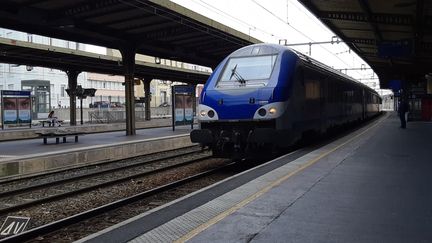 Un train en gare de Valence-Ville, le 3 juin 2019. Photo d'illustration. (FLORENCE GOTSCHAUX / RADIO FRANCE)