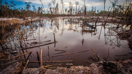 En Indon&eacute;sie, le mercure qui sert &agrave; l'extraction d'or des mines de la province de Kalimantan, sur l'&icirc;le de Born&eacute;o, menace la sant&eacute; d'au moins 225 000 personnes. (CHAIDEER MAHYUDDIN / AFP)