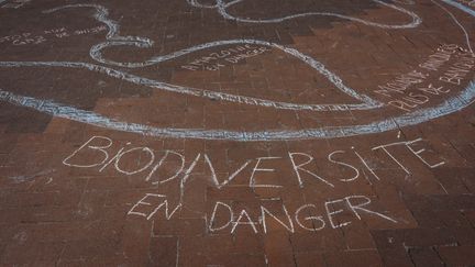 Slogan marqué sur le sol lors d'une action écologiste de désobéissance civile à la Défense à Paris, le 19 avril 2019.&nbsp; (DENIS MEYER / HANS LUCAS / AFP)