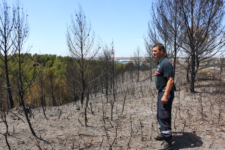 Fabrice Carboni, pompier au centre de secours de Martigues (Bouches-du-Rhône), surveille les terrains brûlés par le feu sur la colline de la Gacharelle, vendredi 28 juillet. (VALENTINE PASQUESOONE/FRANCEINFO)