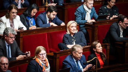 La cheffe de file des députés du Rassemblement national, Marine Le Pen, à l'Assemblée nationale, le 14 novembre 2023. (XOSE BOUZAS / HANS LUCAS / AFP)