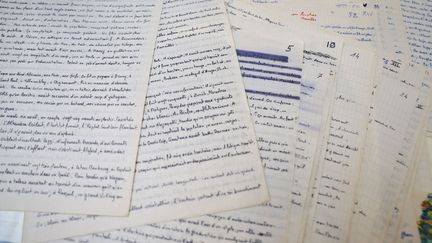 Des feuilles manuscrites de "La Disparition", le roman de Georges Perec, exposées avant mise en vente à la FAB Paris, le 20 novembre 2024. (IAN LANGSDON / AFP)