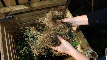 Des déchets verts pour le compostage. Photo d'illustration.&nbsp; (CLAUDE PRIGENT / MAXPPP)