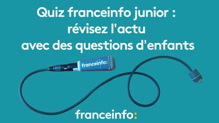 . . (FRANCEINFO)