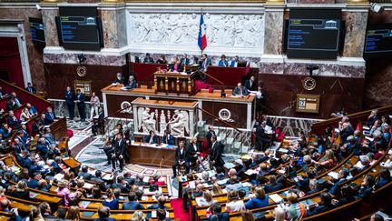 L'Assemblée nationale, le 12 juillet 2022, à Paris.
 (XOSE BOUZAS / HANS LUCAS)