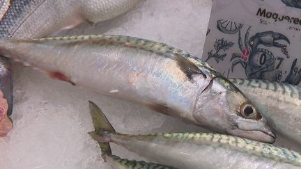 Restauration : les poissonniers se réinventent