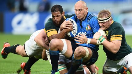 Sergio Parisse aux prises contre deux Sud-Africains (FILIPPO MONTEFORTE / AFP)