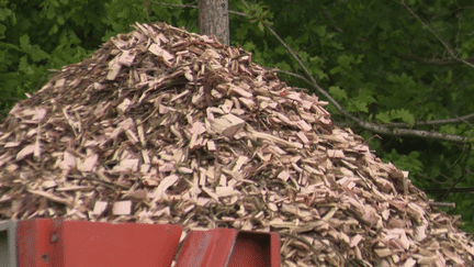 Normandie : le bois des haies du bocage utilisé pour chauffer