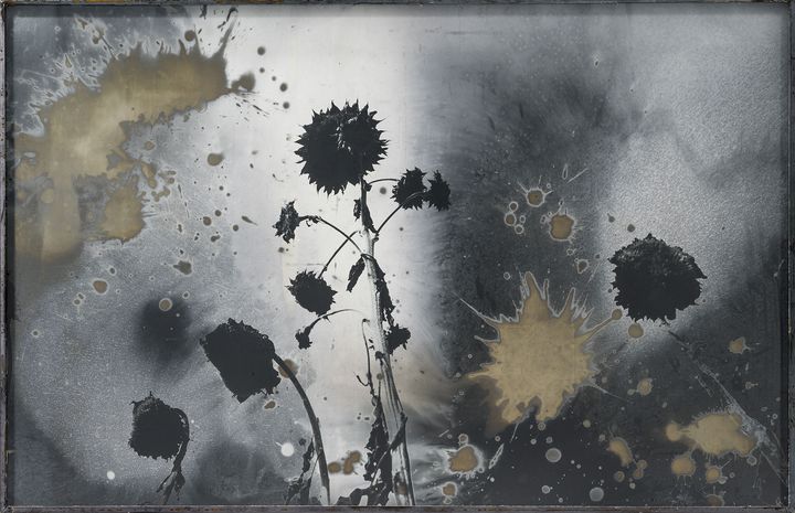 Anselm Kiefer, Sans titre, 2014, Emulsion argentique et technique mixte sur photographie (© Anselm Kiefer. Photo : Charles Duprat)