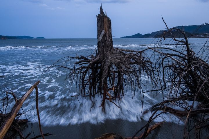 &nbsp; (DANIEL BEREHULAK / GETTY IMAGES ASIAPAC)