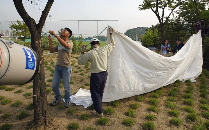 Des employ&eacute;s du centre d'entra&icirc;nement, o&ugrave; &eacute;volue les Bleus en Cor&eacute;e du Sud, installent une b&acirc;che pour emp&ecirc;cher les journalistes de prendre des photos, le 3 juin 2002 &agrave; S&eacute;oul.&nbsp; (PATRICK HERTZOG / AFP)