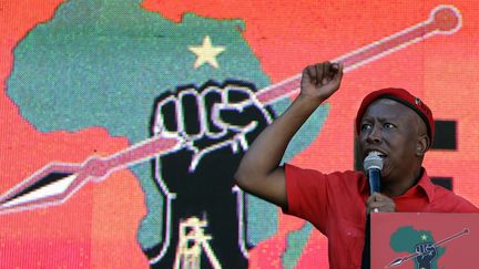 Julius Malema, le président du parti de la gauche radicale sud-africaine EFF, en train de prononcer un discours à Soweto, près de Johannesburg, le 5 mai 2019. (THEMBA HADEBE/AP/SIPA / AP)