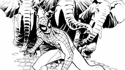 Le dessin de Rick Leonardi : Spiderman à Chambéry 
 (France3/culturebox)