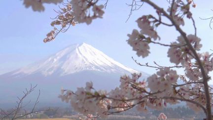 Japon : le Mont Fuji, une montagne sacrée