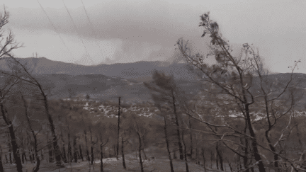 Incendies en Grèce : les habitants et les pompiers "absolument fatigués" (France 3)