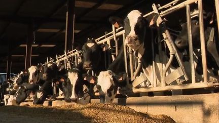 Agriculture : l'avenir au féminin