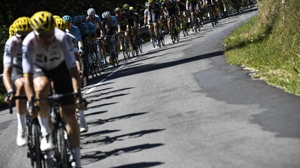 Direction les Bouches-du-Rhône et Salon-de-Provence pour le peloton (LIONEL BONAVENTURE / AFP)