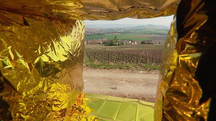 14 oeuvres d'art contemporain exposées dans les vignes de Champagne jusqu'au 15 septembre 2021. (CAPTURE D'ÉCRAN FRANCE 3 / P-A. BOUDET)