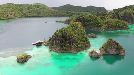 Raja Ampat, un archipel indonésien au paradis de corail