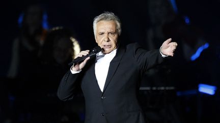 Le chanteur Michel Sardou en concert au Palais Omnisport de Bercy en 2012 à Paris (PIERRE VERDY / AFP)