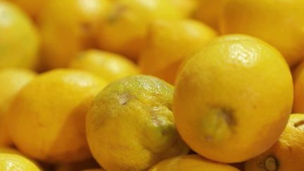 Italie : les secrets des citrons de l'Etna