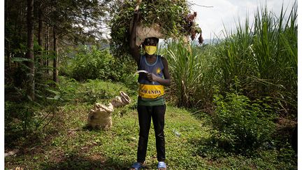 Les parents d'Ellie n'ont plus le revenu suffisant pour payer ses frais de scolarité. Pour subvenir aux besoins de la famille, elle coupe et ramasse de l’herbe pour le bétail.&nbsp; &nbsp; &nbsp; (SIMON WOHLFAHRT / AFP)