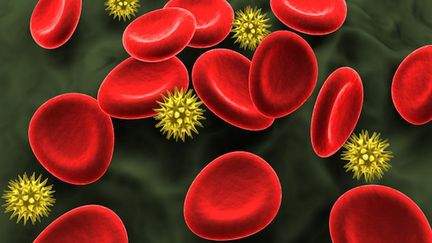 Des virus du sida et des globules rouges (image d'illustration). (CRE8TIVE_STUDIOS / ISTOCKPHOTO / GETTY)