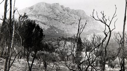 Spectacle de désolation après l'incendie qui a ravagé une grande partie du massif Sainte-Victoire en août 1989 (AUTRE / MAXPPP)