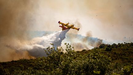 Un Canadair survole un&nbsp;incendie survenu à Saint-Bauzille-de-la-Sylve (Hérault), le 26 juillet 2022. (BENJAMIN POLGE / HANS LUCAS / AFP)