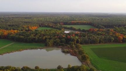 Loir-et-Cher : le projet d’un immense complexe avec un golf en zone Natura 2000 fait polémique