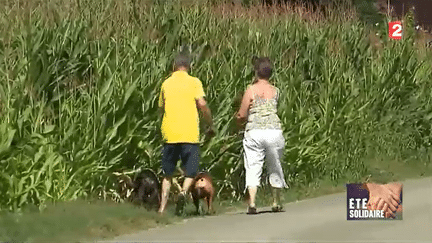 Vacances utiles : des retraités s'occupent de votre maison et de vos animaux