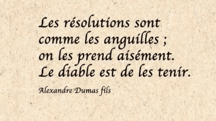 Nouvel An 2024 : les bonnes résolutions des Français (France 2)