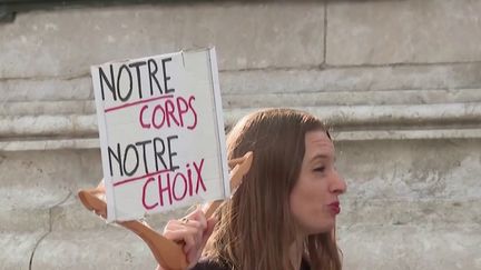 Avortement : une proposition de loi pour inclure l'IVG dans la constitution