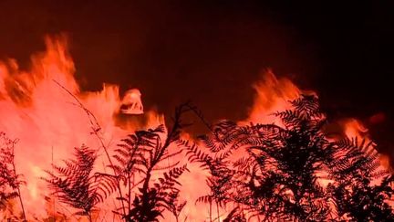 Incendies en Gironde : les flammes deviennent incontrôlables