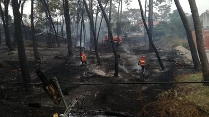 Des pompiers en intervention pour éteindre les fumerolles dans la forêt du Pignada ravagée par le feu, à Anglet (Pyrénées-Atlantiques), le 31 juillet 2020. (THIBAULT VINCENT / FRANCE-BLEU PAYS BASQUE)