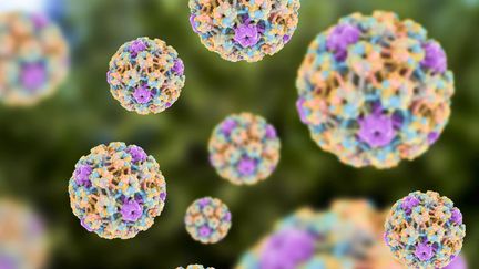 Des images générées par ordinateur du papillomavirus humain (HPV), le 28 septembre 2016. (KATERYNA KON / SCIENCE PHOTO LIBRA / KKO / AFP)