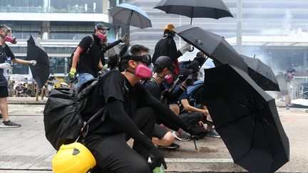 Des manifestants prodémocratie à Hong Kong, le 29 octobre 2019. (MOHD RASFAN / AFP)