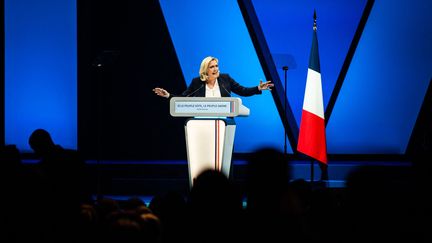 Marine Le Pen en meeting à Perpignan (Pyrénées-orientales), le 7 avril 2022. (JC MILHET / HANS LUCAS / AFP)