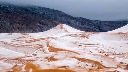 Photo amateur des dunes du Sahara enneigées le 19 décembre 2016 aux alentours de la ville d'Aïn Sefra en Algérie. (PHOTOGRAPHY / SHUTTERSTOC / SIPA)