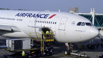 Un Airbus A330 à l'aéroport international de Caracas, au Venezuela, le 8 janvier 2017.&nbsp; (THIERRY MONASSE / DPA / AFP)