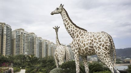 le lieu unique, HUMANITÉ VÉGÉTALE, MARIO DEL CURTO – HONG KONG, JARDIN CRÉATIONNISTE, CHINE, 2015 (MARIO DEL CURTO)