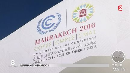 COP22