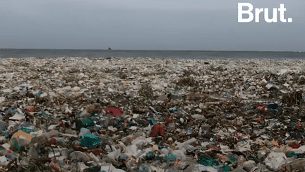 Des vagues de déchets. C’est ce à quoi est confrontée la République dominicaine depuis plusieurs jours. Explications.