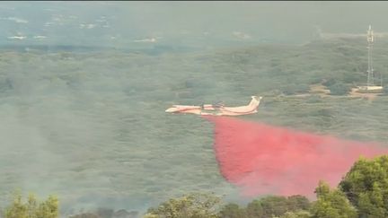 Incendies : 24 départs de feux comptés dans le Gard en une journée (FRANCE 2)