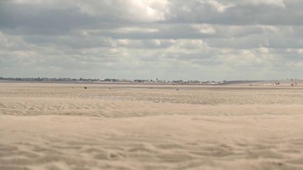 Nature : randonnée dans la baie de Somme