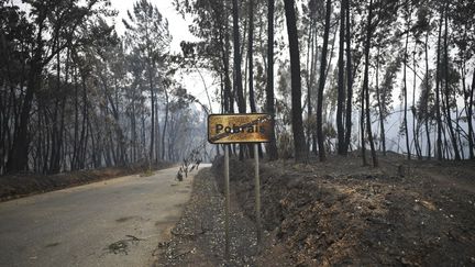 L’incendie a tué une dizaine d’habitants de Pobrais, soit un tiers de ce petit village. (PATRICIA DE MELO MOREIRA / AFP)