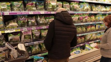 Salades en sachet : sont-elles vraiment écologiques ?