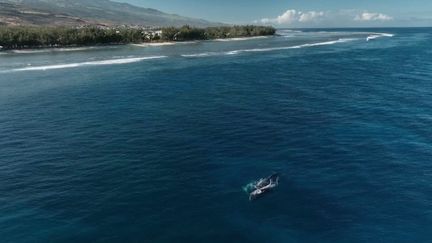 Île de la Réunion : la faune marine de l’océan Indien en danger