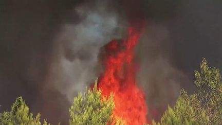 Lundi 1er&nbsp;août, 370 hectares ont brûlé dans un incendie qui s'est déclaré à Aubais, dans le Gard. Quatre pompiers ont été blessés, dont un gravement brûlé.&nbsp; (FRANCE 3)