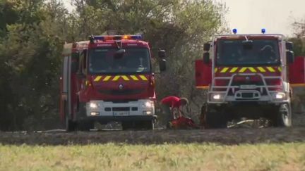 Incendies en Bretagne : une dizaine d'hectares a brûlé dans le Morbihan